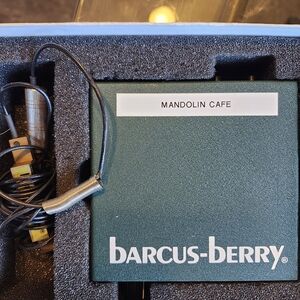 Barcus-berry Piano Planer Wave System